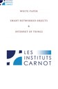 White Paper: Smart Networked Objects and Internet of Things 